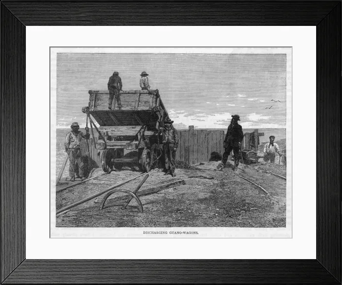 Framed Print : Peru / Guano / Wagons / C19Th Framed Print : Peru / Guano / Wagons / C19Th