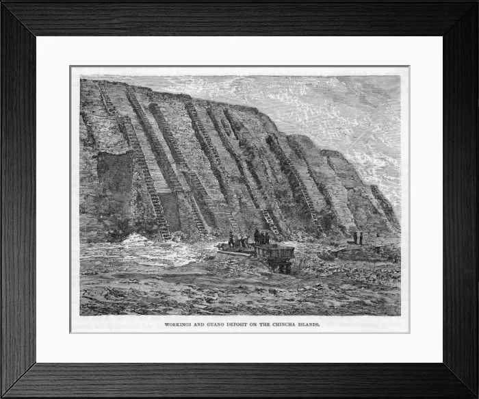 Framed Print : Digging out Guano / Peru Framed Print : Digging out Guano / Peru