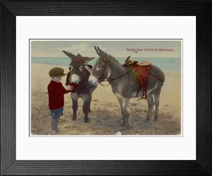 Framed Print : Boy and Two Donkeys Framed Print : Boy and Two Donkeys