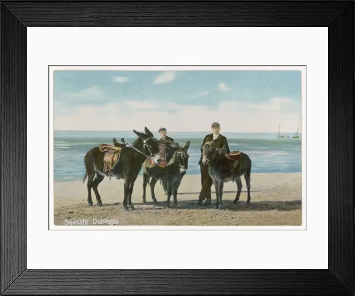 Framed Print : Donkeys Waiting Framed Print : Donkeys Waiting