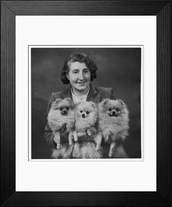 Framed Print : Fall / Pomeranian & Owner Framed Print : Fall / Pomeranian & Owner