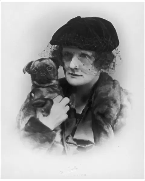 Countess Howe Dog