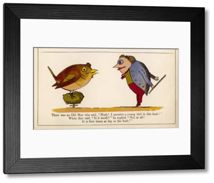 Framed Print : Lear / Book of Nonsense Framed Print : Lear / Book of Nonsense