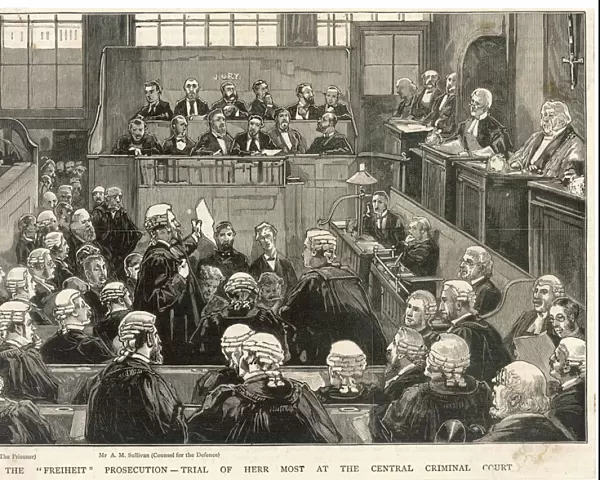 Freiheit Trial  /  1881