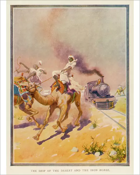 Camels and Iron Horse