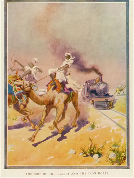 Camels and Iron Horse