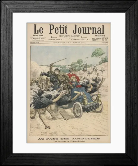 Framed Print : Attacked by Ostriches Framed Print : Attacked by Ostriches