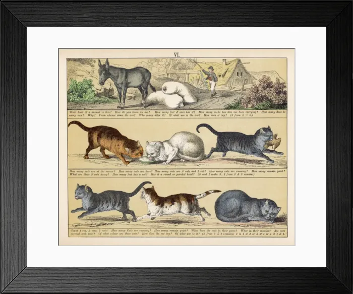 Framed Print : TEXTBOOK / 1880 / PLATE 6 Framed Print : TEXTBOOK / 1880 / PLATE 6