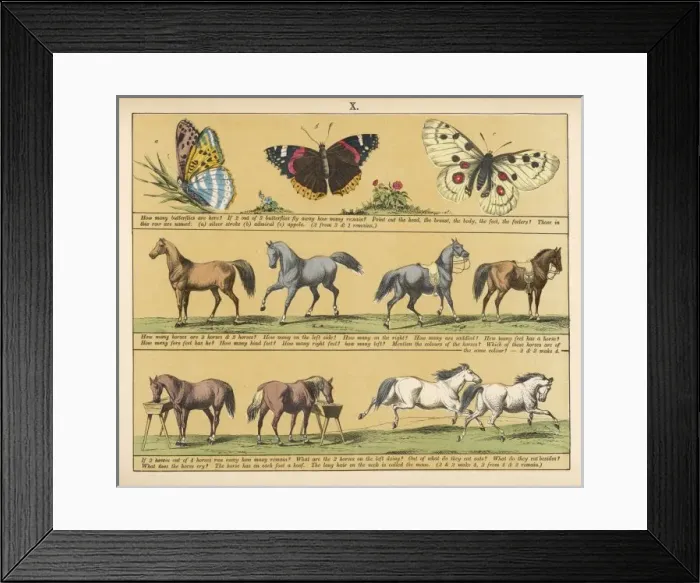Framed Print : TEXTBOOK / 1880 / PLATE 10 Framed Print : TEXTBOOK / 1880 / PLATE 10