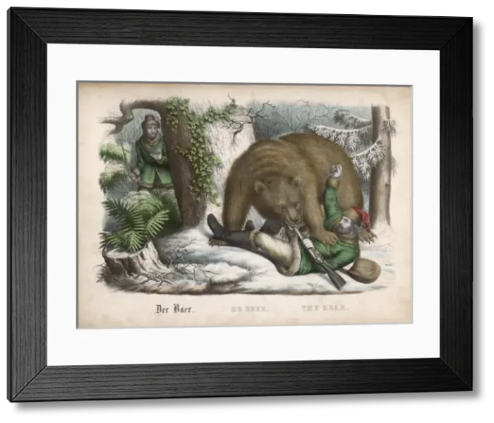 Framed Print : Bear / The Hunter Hunted Framed Print : Bear / The Hunter Hunted