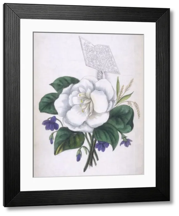 Framed Print : French Spirit Drawing Framed Print : French Spirit Drawing