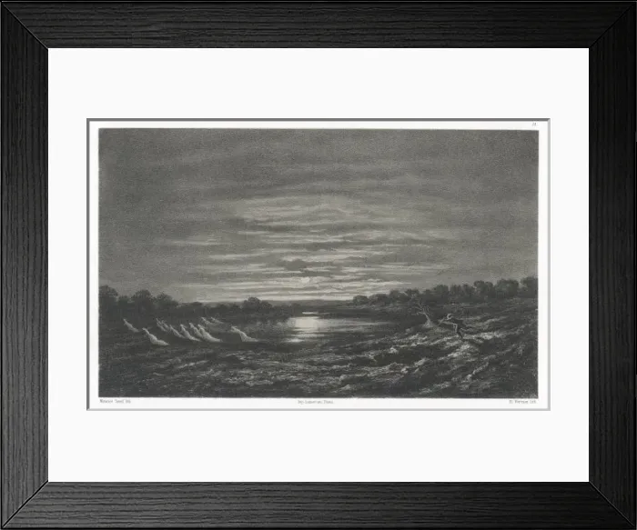 Framed Print : FLAMBETTES Framed Print : FLAMBETTES