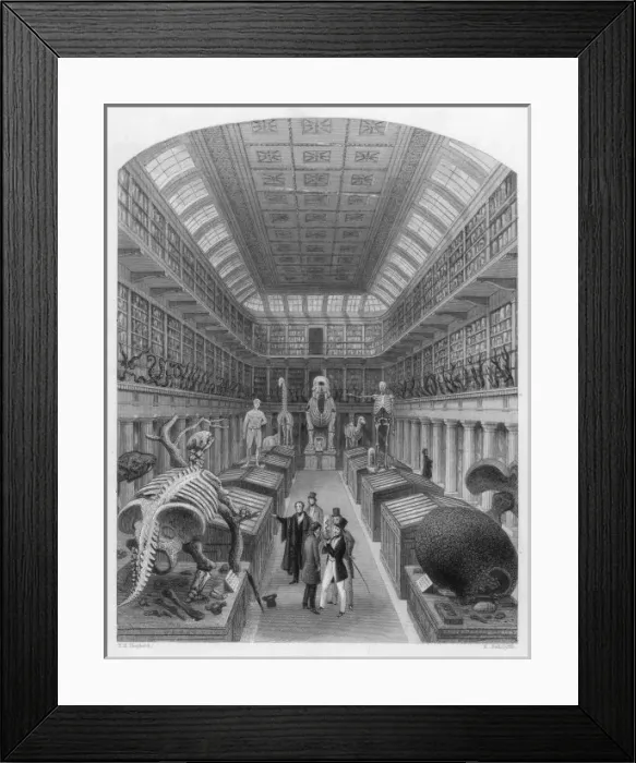 Framed Print : Hunterian Museum Framed Print : Hunterian Museum