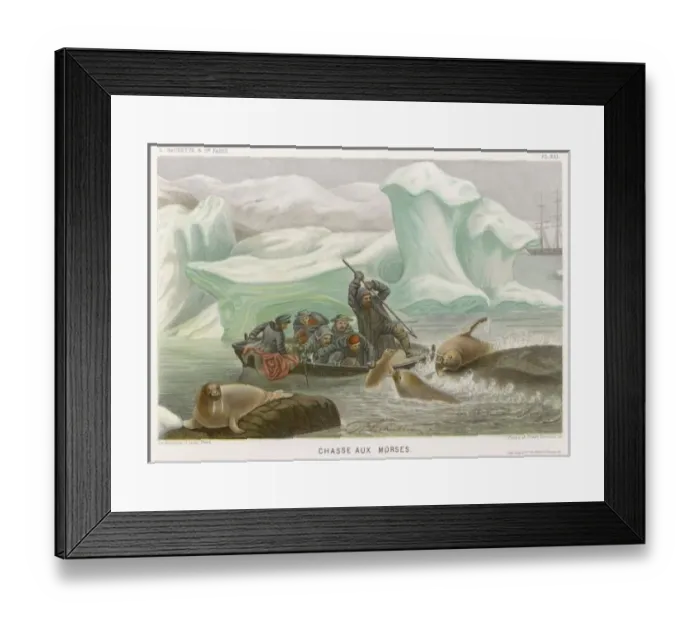 Framed Print : Harpooning / Walrus / 1865 Framed Print : Harpooning / Walrus / 1865