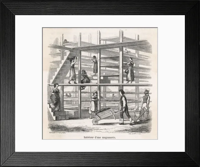 Framed Print : Industry / Textiles / Silk Framed Print : Industry / Textiles / Silk