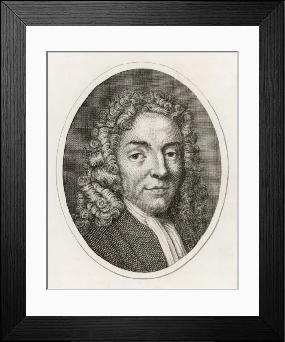 Framed Print : Wren Eng. Heath Framed Print : Wren Eng. Heath