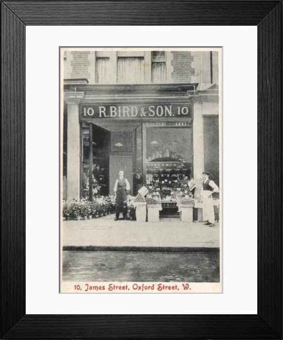 Framed Print : Bird & Son Shop / Photo Framed Print : Bird & Son Shop / Photo