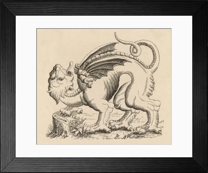 Framed Print : Gargoyle, Rouen Framed Print : Gargoyle, Rouen