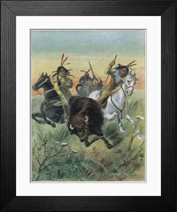 Framed Print : Hunting / Buffalo Framed Print : Hunting / Buffalo