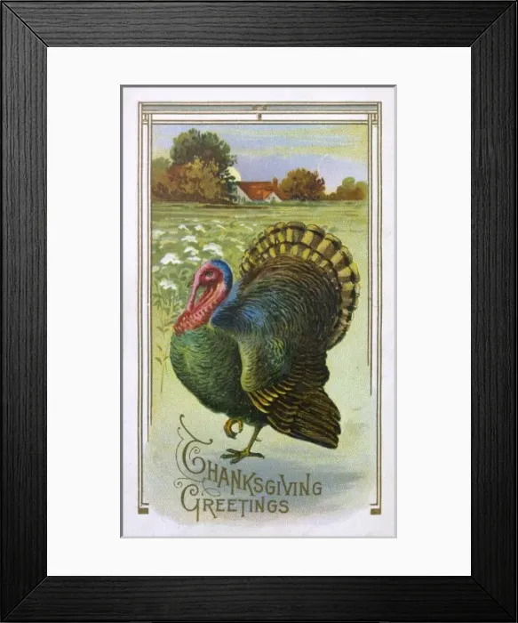 Framed Print : Thanksgiving Turkey Framed Print : Thanksgiving Turkey