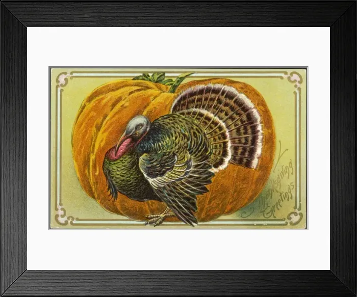 Framed Print : Turkey and Pumpkin Framed Print : Turkey and Pumpkin