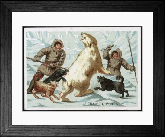 Framed Print : Hunting a Polar Bear