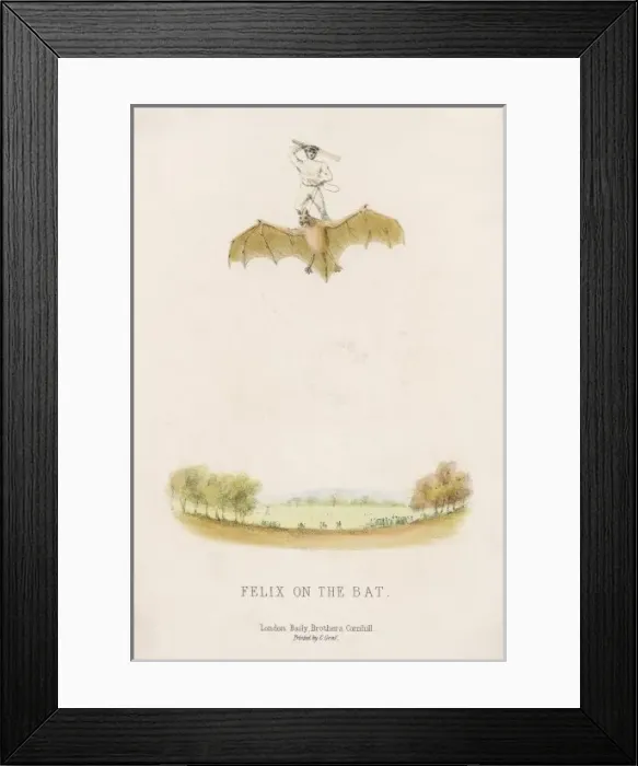 Framed Print : Felix on the Bat Framed Print : Felix on the Bat