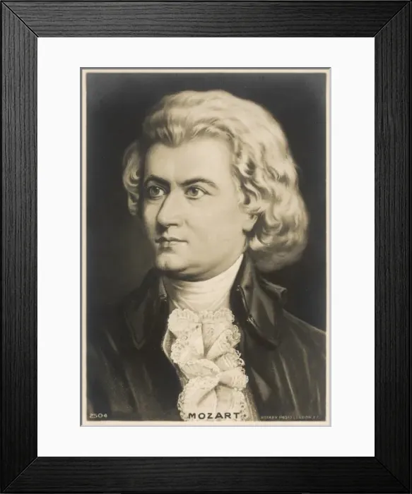 Framed Print : Mozart Rotary Framed Print : Mozart Rotary