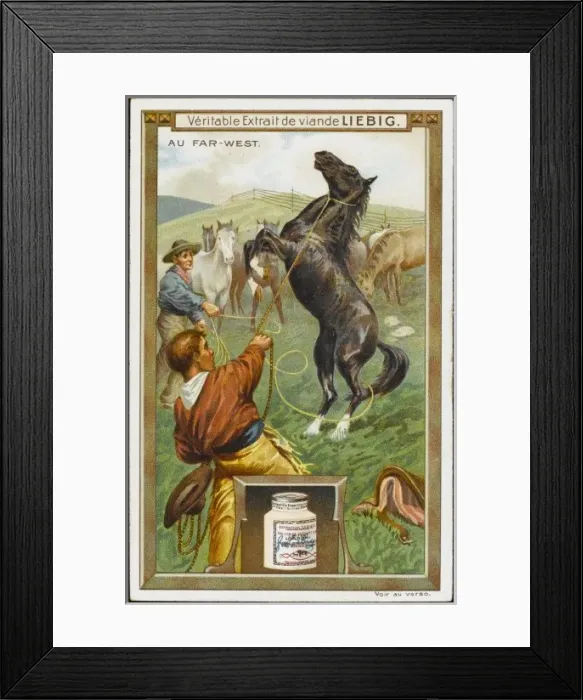 Framed Print : Breaking in Horses Framed Print : Breaking in Horses
