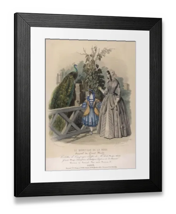 Framed Print : Competing with Peacock Framed Print : Competing with Peacock