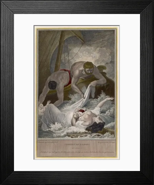 Framed Print : Comedy of Errors Framed Print : Comedy of Errors