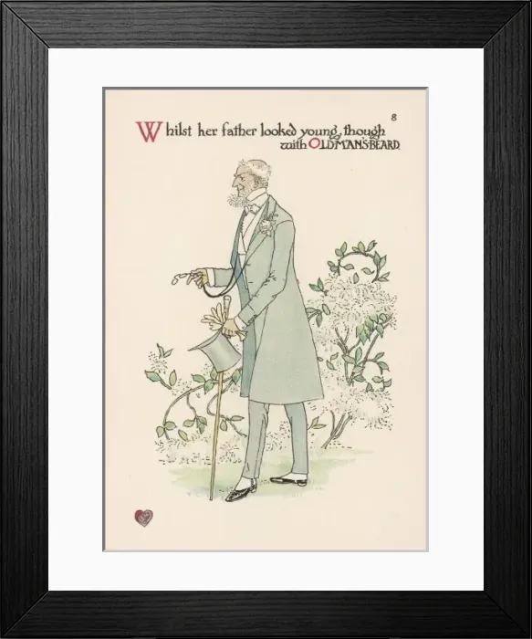 Framed Print : Clematis (Crane) Framed Print : Clematis (Crane)