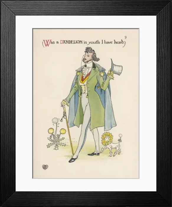 Framed Print : Plants / Taraxacum Framed Print : Plants / Taraxacum