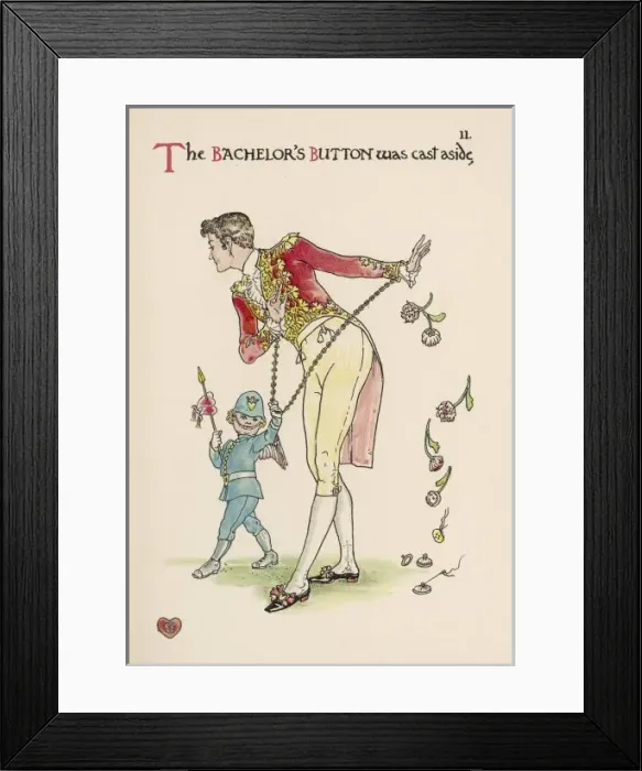 Framed Print : Ranunculus Species Framed Print : Ranunculus Species