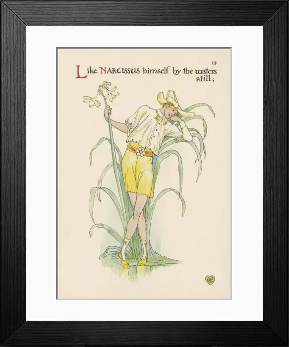 Framed Print : Plants / Narcissus Framed Print : Plants / Narcissus