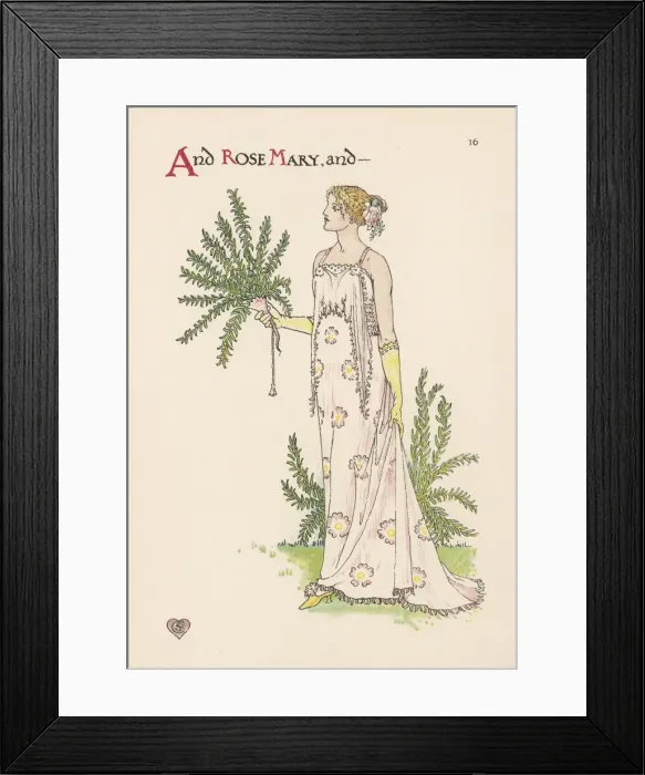 Framed Print : Plants / Rosemarinus Framed Print : Plants / Rosemarinus