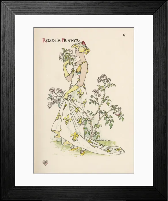 Framed Print : Plants / Rose LA France Framed Print : Plants / Rose LA France