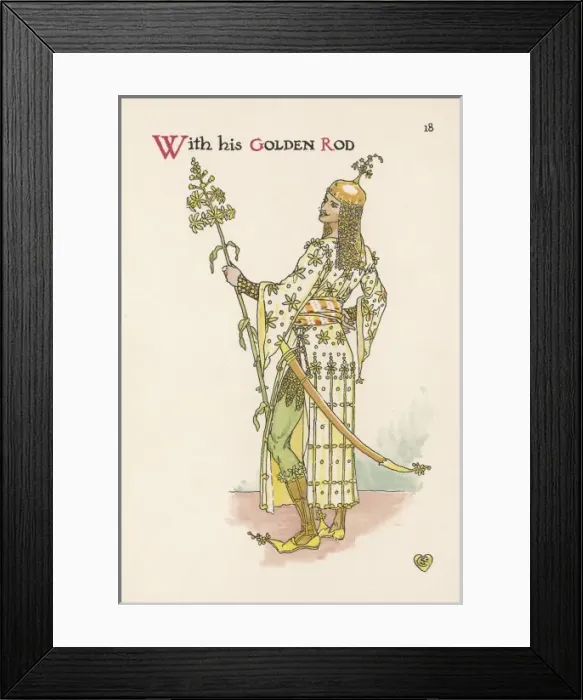 Framed Print : Solidago Virgaurea Framed Print : Solidago Virgaurea