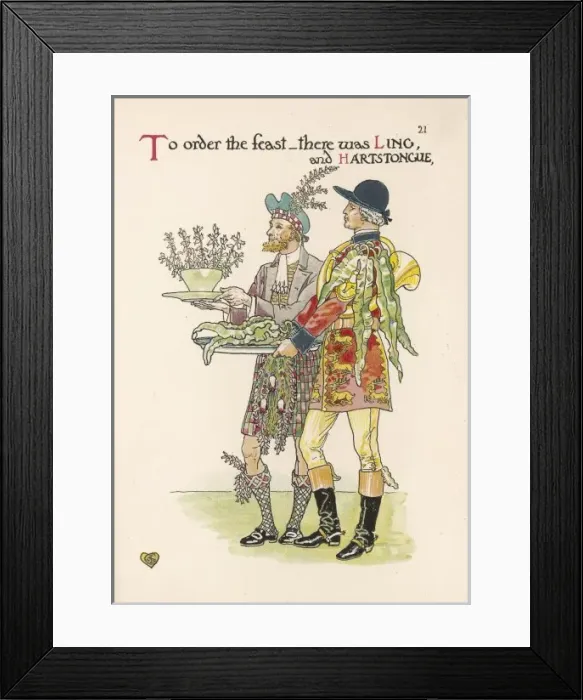 Framed Print : Plants / Calluna Vulgaris Framed Print : Plants / Calluna Vulgaris