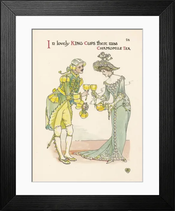 Framed Print : Plants / Caltha Palustris Framed Print : Plants / Caltha Palustris