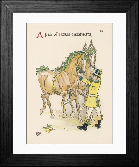 Framed Print : Aesculus Hippocastanum Framed Print : Aesculus Hippocastanum