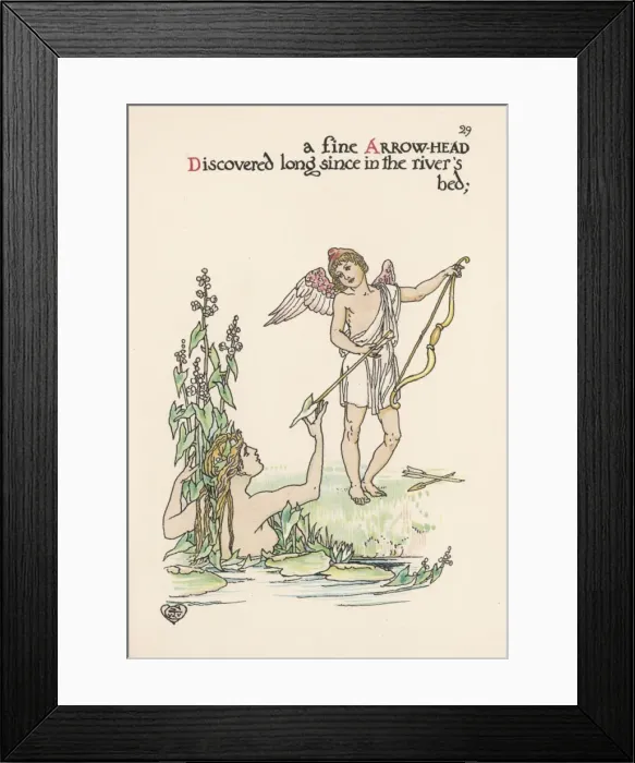 Framed Print : Plants / Sagittaria Framed Print : Plants / Sagittaria