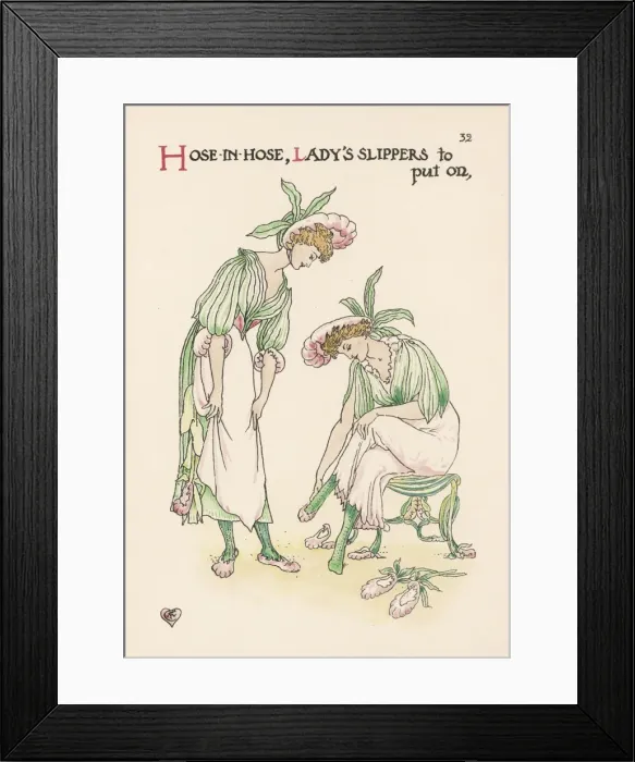Framed Print : Plants / Limonium Vulgare Framed Print : Plants / Limonium Vulgare