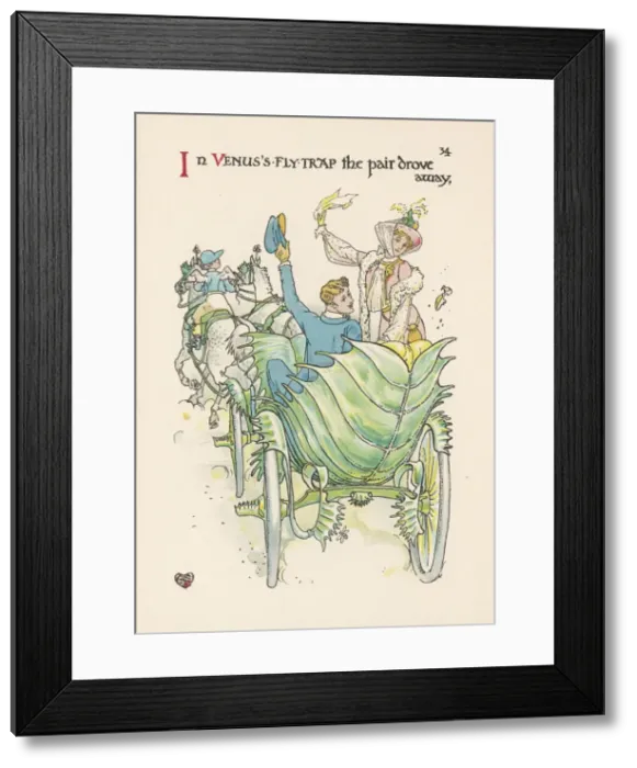 Framed Print : Plants / Dionaea Muscipula Framed Print : Plants / Dionaea Muscipula