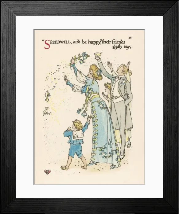 Framed Print : Plants / Veronica Incana Framed Print : Plants / Veronica Incana