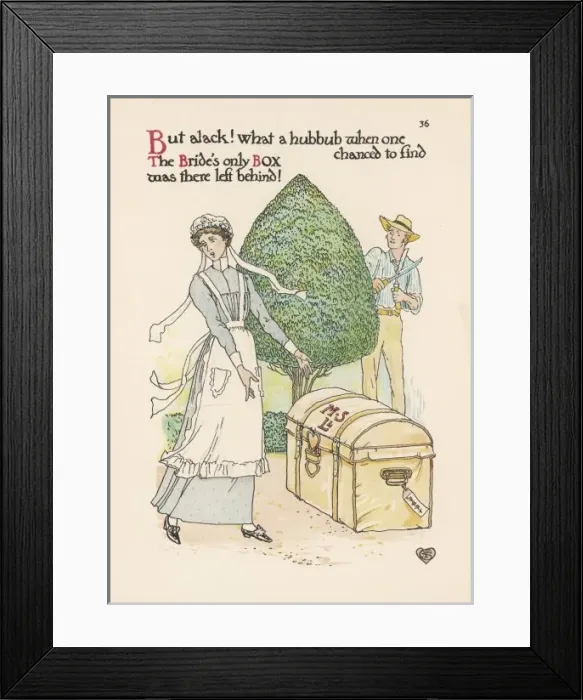 Framed Print : Plants / Buxus Framed Print : Plants / Buxus