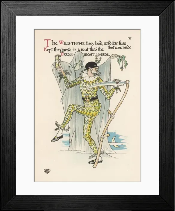 Framed Print : Plants / Thymus Serpyllum Framed Print : Plants / Thymus Serpyllum