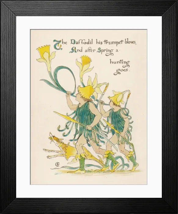 Framed Print : Plants / Narcissus Species Framed Print : Plants / Narcissus Species