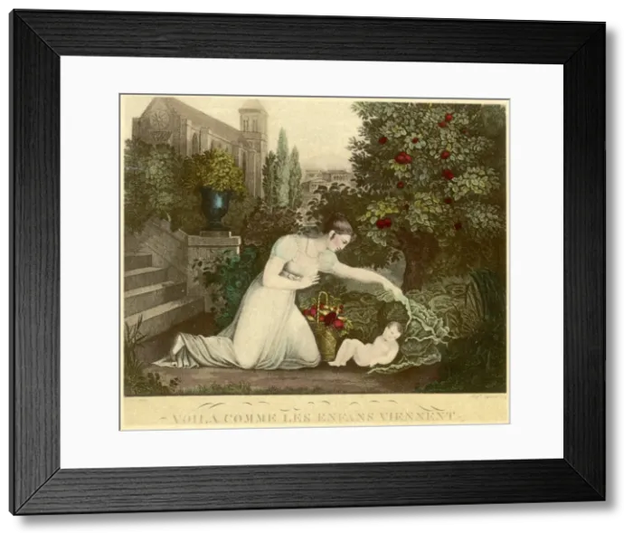 Framed Print : Child under Cabbage Leaf Framed Print : Child under Cabbage Leaf