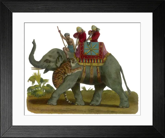 Framed Print : Hunting Tiger (Scrap) Framed Print : Hunting Tiger (Scrap)